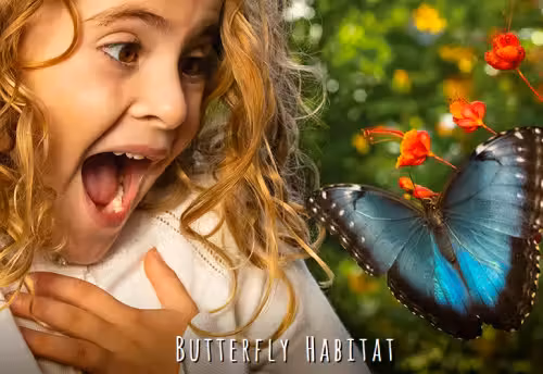 Butterfly Habitat Opening for the Spring Event Image