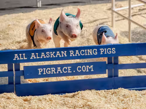 Clark County Fair & Rodeo Event Image