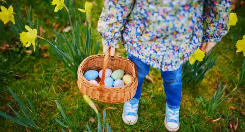 Spring Carnival & Egg Hunt Event Image