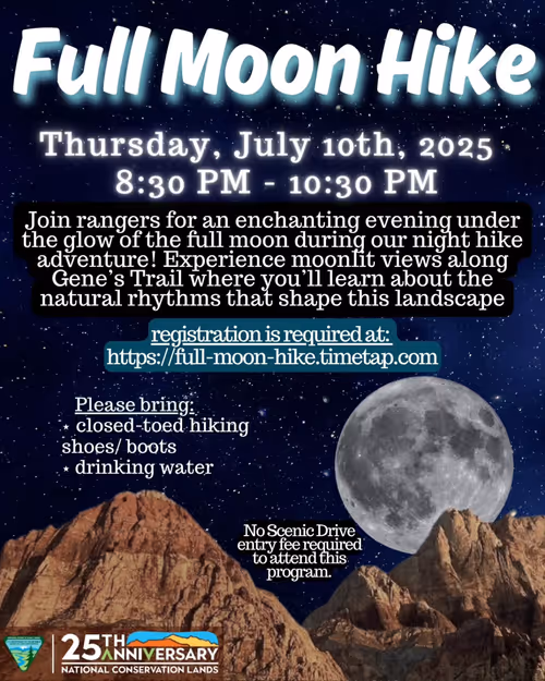 Full Moon Hike Event Image