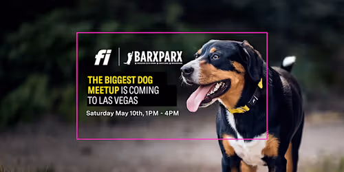 The Biggest Dog Meetup Event Image